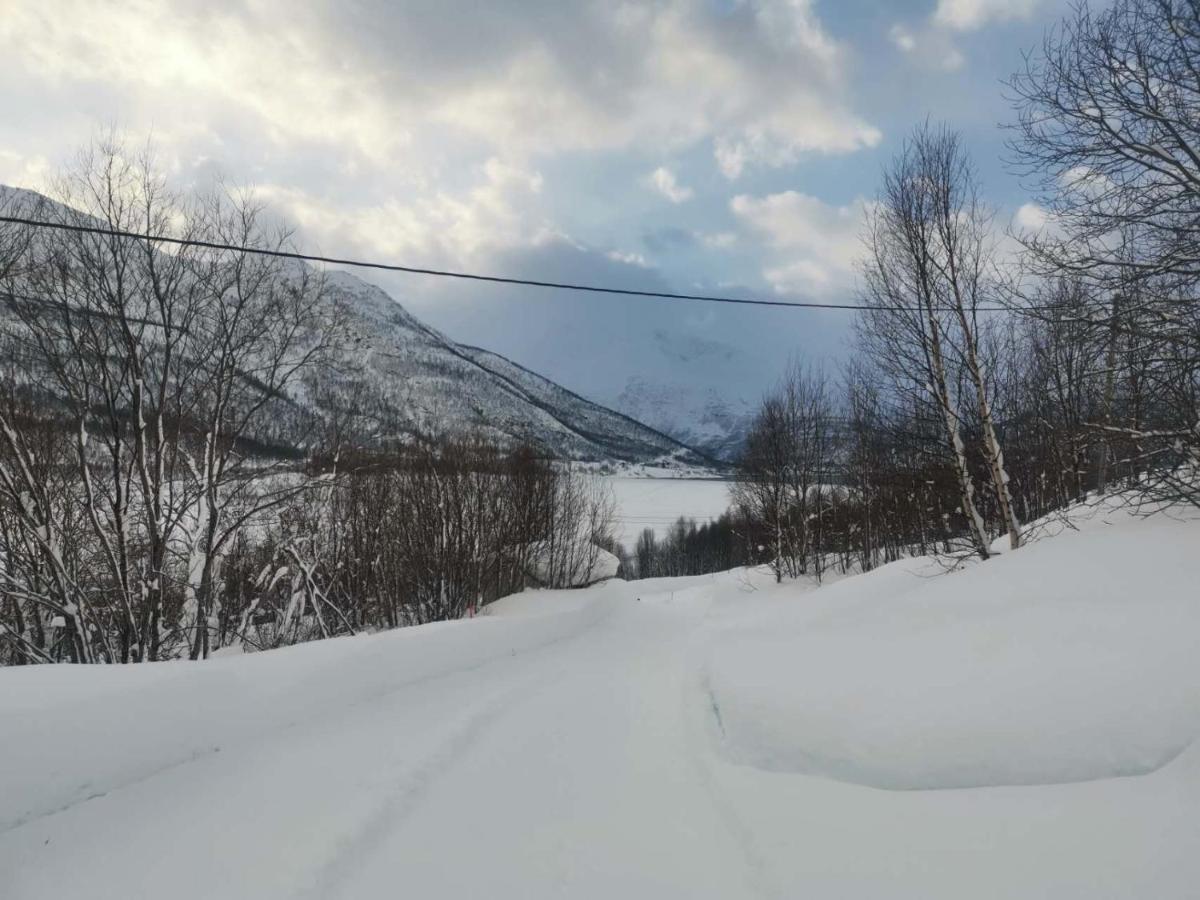 极光民宿northern Lights Laksvatn 외부 사진